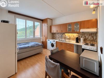 Sale apartment 1+1 Oloví, náměstí Horní č. 3