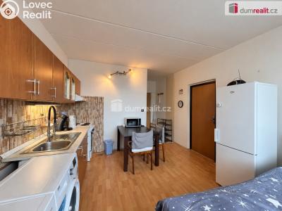 Sale apartment 1+1 Oloví, náměstí Horní č. 4