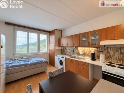 Sale apartment 1+1 Oloví, náměstí Horní č. 5