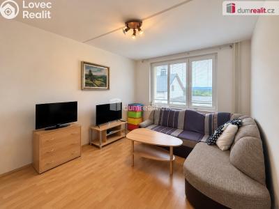 Sale apartment 1+1 Oloví, náměstí Horní č. 6