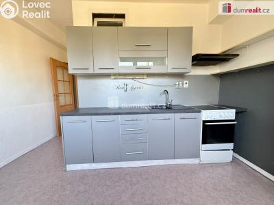 Rent apartment 3+1 Tursko, Nová č. 9