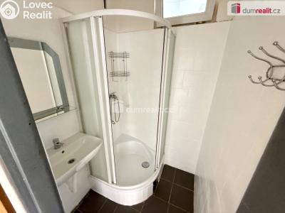 Rent apartment 3+1 Tursko, Nová č. 11