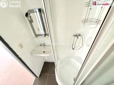 Rent apartment 3+1 Tursko, Nová č. 5