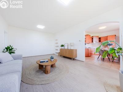 Sale apartment 2+1 Dobřejovice, Sportovní č. 3