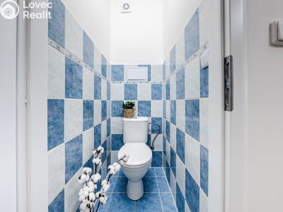 Sale apartment 2+1 Dobřejovice, Sportovní č. 12