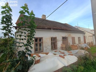Sale family house Břasy č. 1