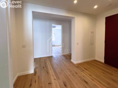 Rent apartment 4+KK Praha, Třebízského č. 2
