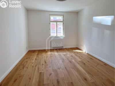Rent apartment 4+KK Praha, Třebízského č. 4