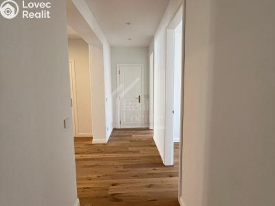 Rent apartment 4+KK Praha, Třebízského č. 5