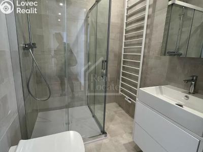 Rent apartment 4+KK Praha, Třebízského č. 7