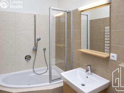 Оренда квартири 2+KK Praha, Vratislavova č. 4