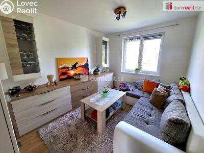 Prodej bytu 3+1 Stříbro, Na Vyhlídce č. 7