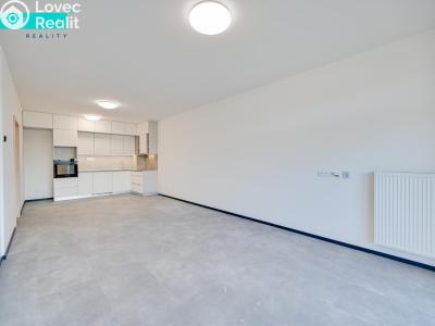 Pronájem bytu 2+KK Nové Sady, Andělská č. 16