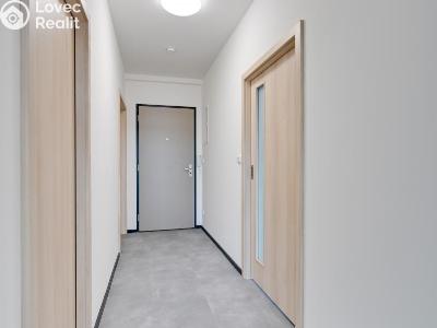 Pronájem bytu 2+KK Nové Sady, Andělská č. 13