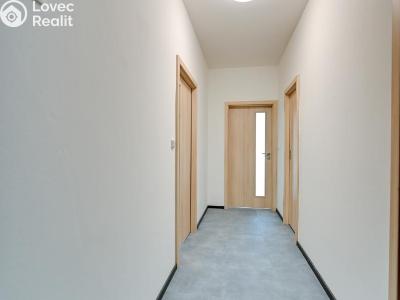 Pronájem bytu 2+KK Nové Sady, Andělská č. 8