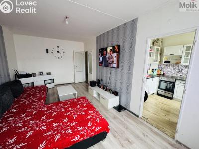 Prodej bytu 3+1 Most, Javorová 3102 č. 3