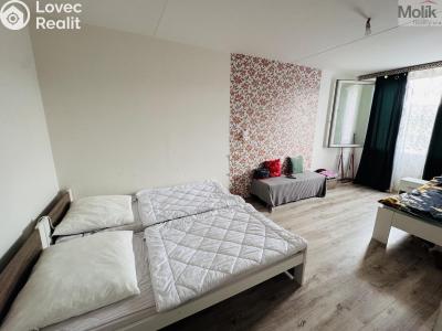 Prodej bytu 3+1 Most, Javorová 3102 č. 10