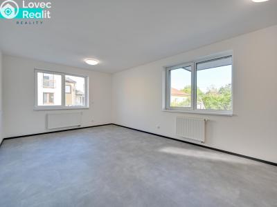 Pronájem bytu 2+KK Nové Sady, Andělská č. 5