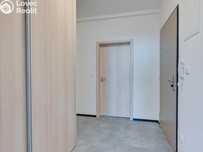 Pronájem bytu 2+KK Nové Sady, Andělská č. 8