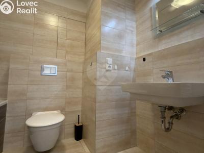 Оренда квартири 1+KK Praha, Ke kříži č. 9
