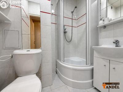 Prodej bytu 1+KK Havířov, Dlouhá třída č. 3