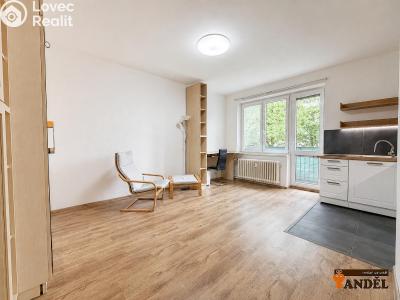 Prodej bytu 1+KK Havířov, Dlouhá třída č. 5