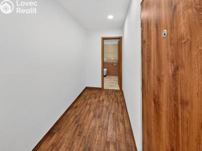 Prodej bytu 1+KK Praha, Sládkovičova č. 5