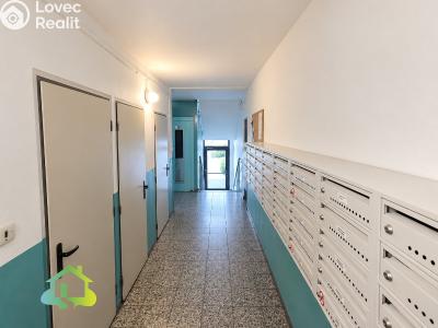 Prodej bytu 2+KK Hořice, Pod Lipou č. 11