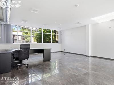 Rent office space Opava, Provaznická č. 9