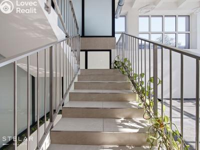 Rent office space Opava, Provaznická č. 10