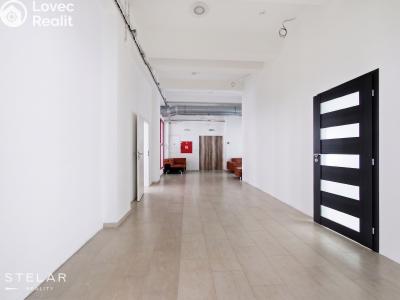 Rent office space Opava, Provaznická č. 9