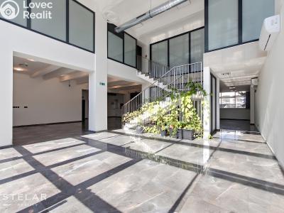 Rent office space Opava, Provaznická č. 1