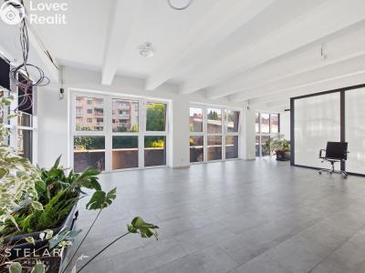 Rent office space Opava, Provaznická č. 19
