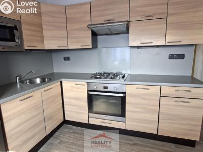 Rent apartment 2+1 Valašské Meziříčí, Zdeňka Fibicha č. 18