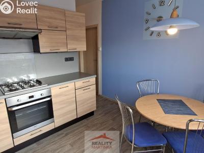 Rent apartment 2+1 Valašské Meziříčí, Zdeňka Fibicha č. 23