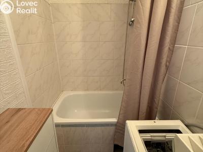 Pronájem bytu 1+KK Most, Lidická č. 8