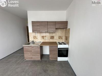 Pronájem bytu 1+KK Most, M. G. Dobnera č. 2