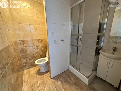 Pronájem bytu 1+KK Most, M. G. Dobnera č. 5