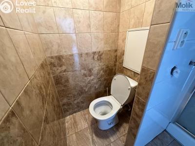 Pronájem bytu 1+KK Most, M. G. Dobnera č. 7