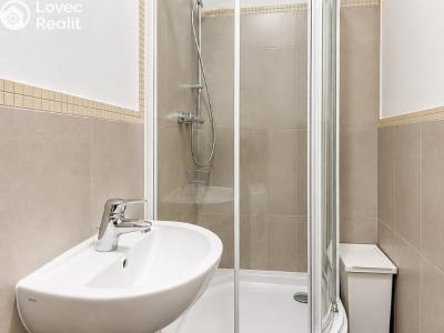 Продажа квартиры 1+1 Praha, Plzeňská č. 5