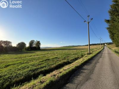 Sale family house Rtyně v Podkrkonoší, Ke Skalce č. 31