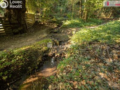 Sale hut Zlončice č. 31