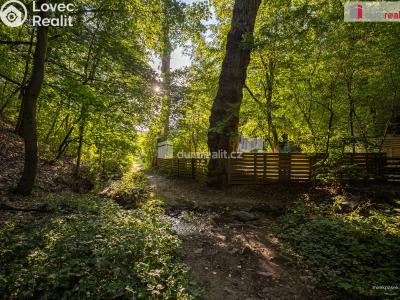 Sale hut Zlončice č. 34