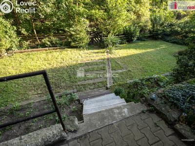 Sale hut Zlončice č. 38