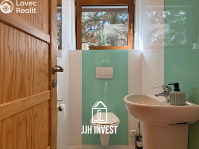 Rent family house Liberec, U Slunečních lázní 1160 č. 17