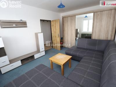 Sale apartment 1+1 Horní Slavkov, U Lesoparku č. 1
