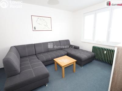 Sale apartment 1+1 Horní Slavkov, U Lesoparku č. 4