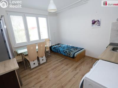Sale apartment 1+1 Horní Slavkov, U Lesoparku č. 5