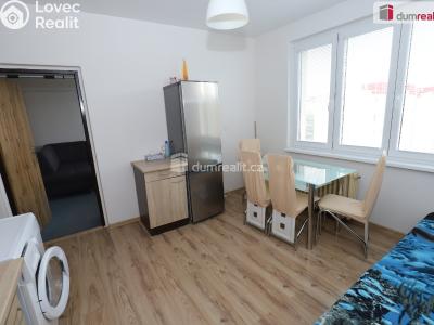 Sale apartment 1+1 Horní Slavkov, U Lesoparku č. 6