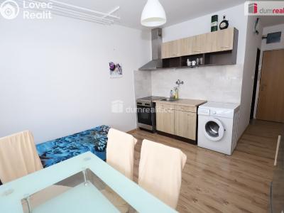 Sale apartment 1+1 Horní Slavkov, U Lesoparku č. 7